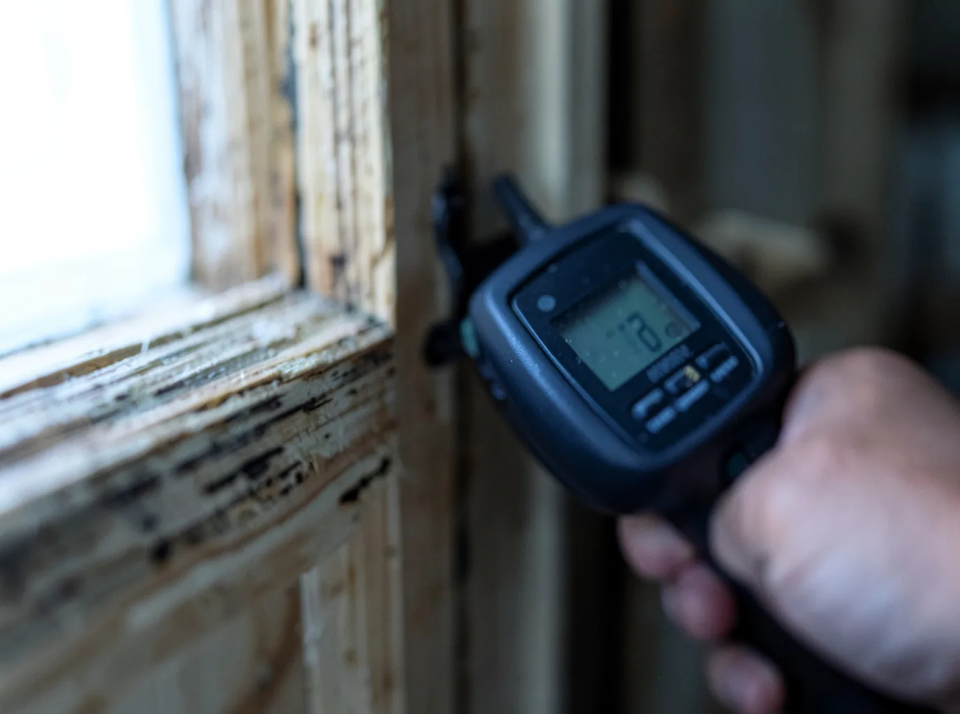 Commercial Water Damage Restoration in Moab, UT